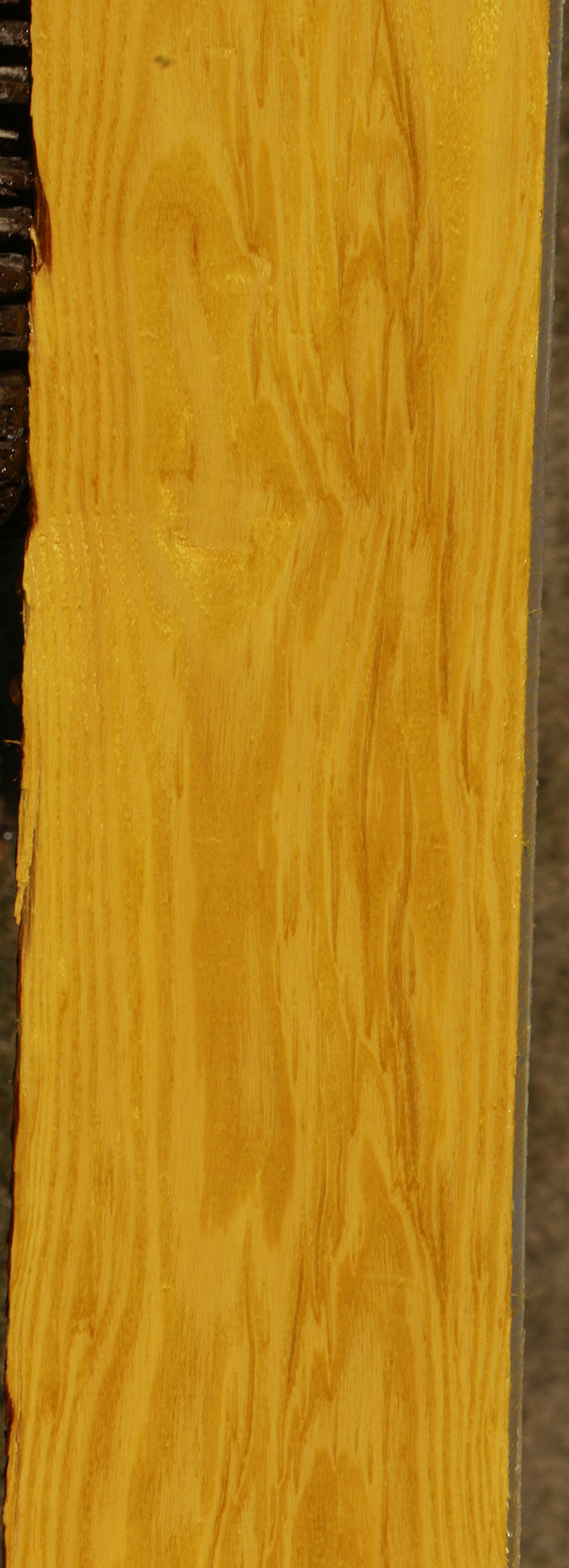 Extra Fancy Osage Orange Lumber