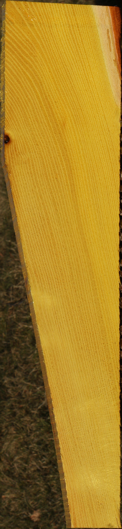 Osage Orange Lumber
