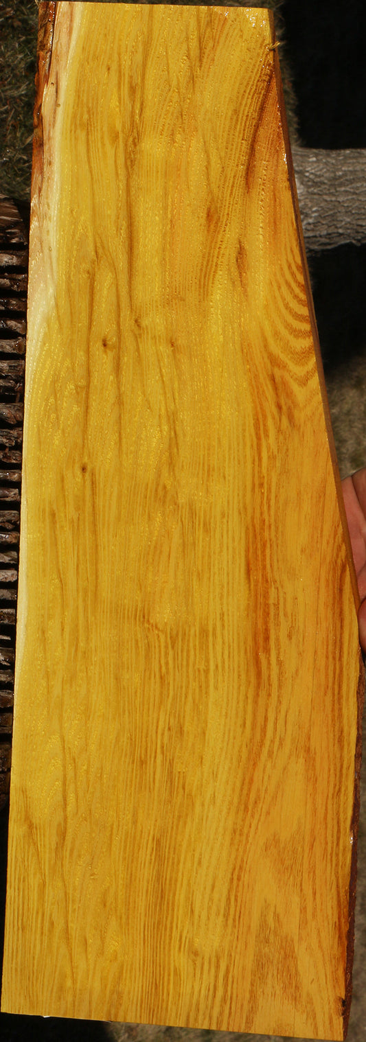 Osage Orange Lumber