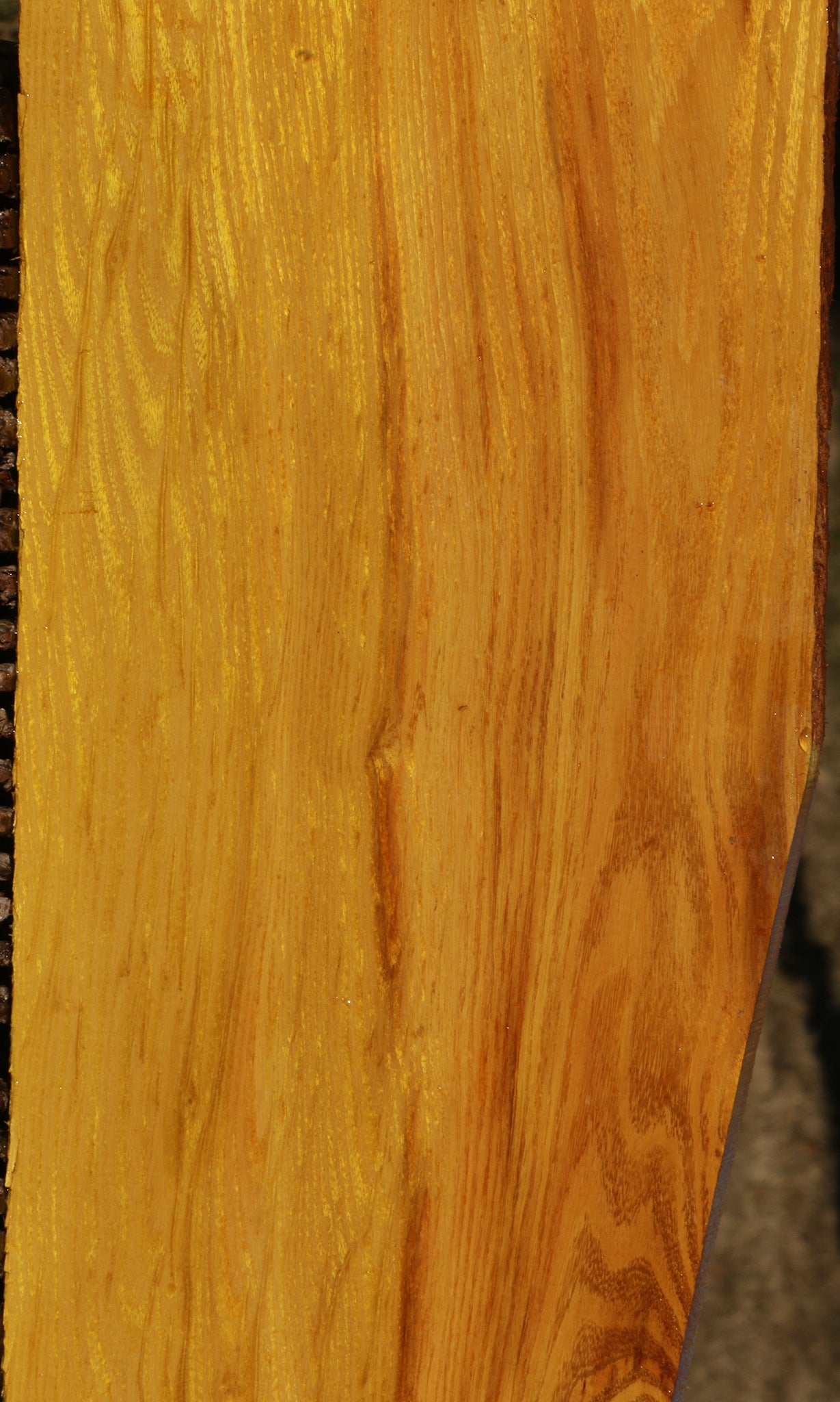 Osage Orange Lumber