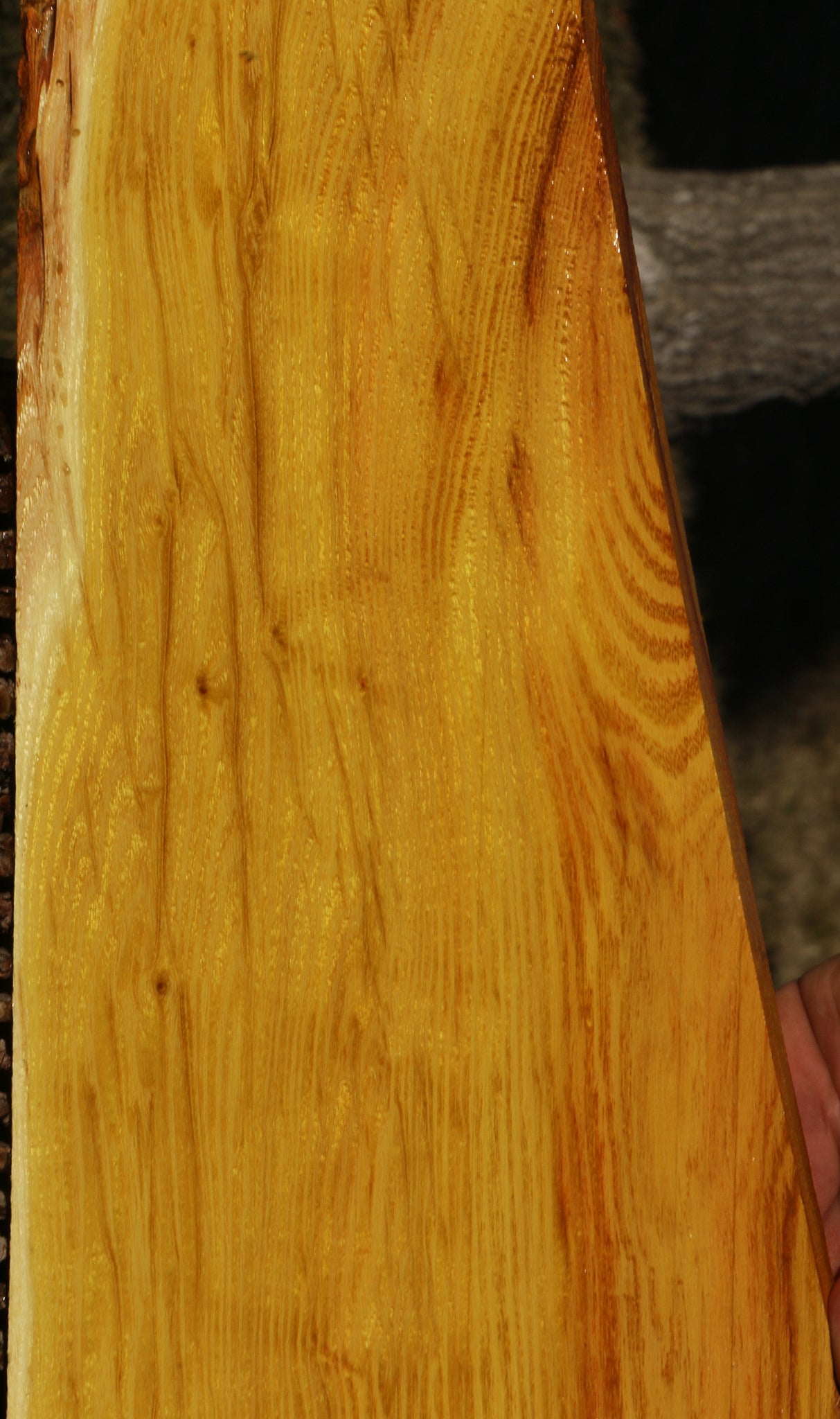 Osage Orange Lumber