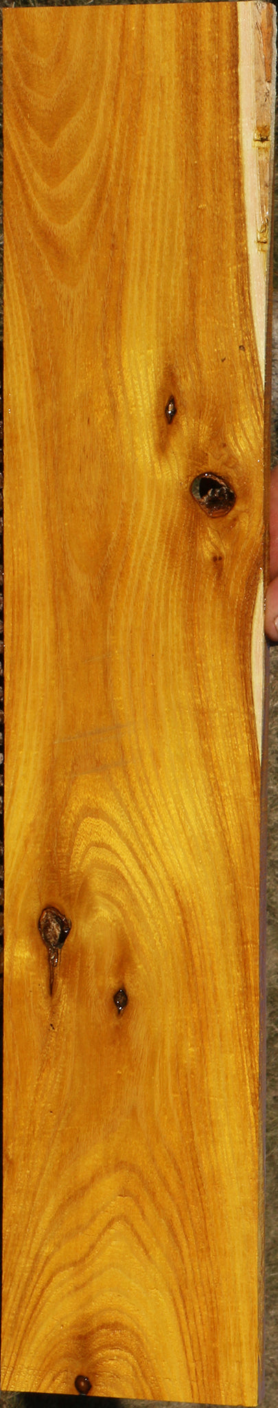 Osage Orange Lumber
