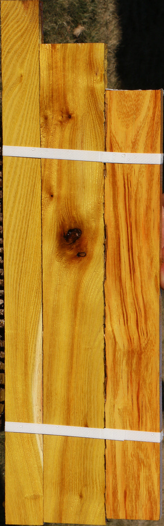 Osage Orange Lumber 3 Pack