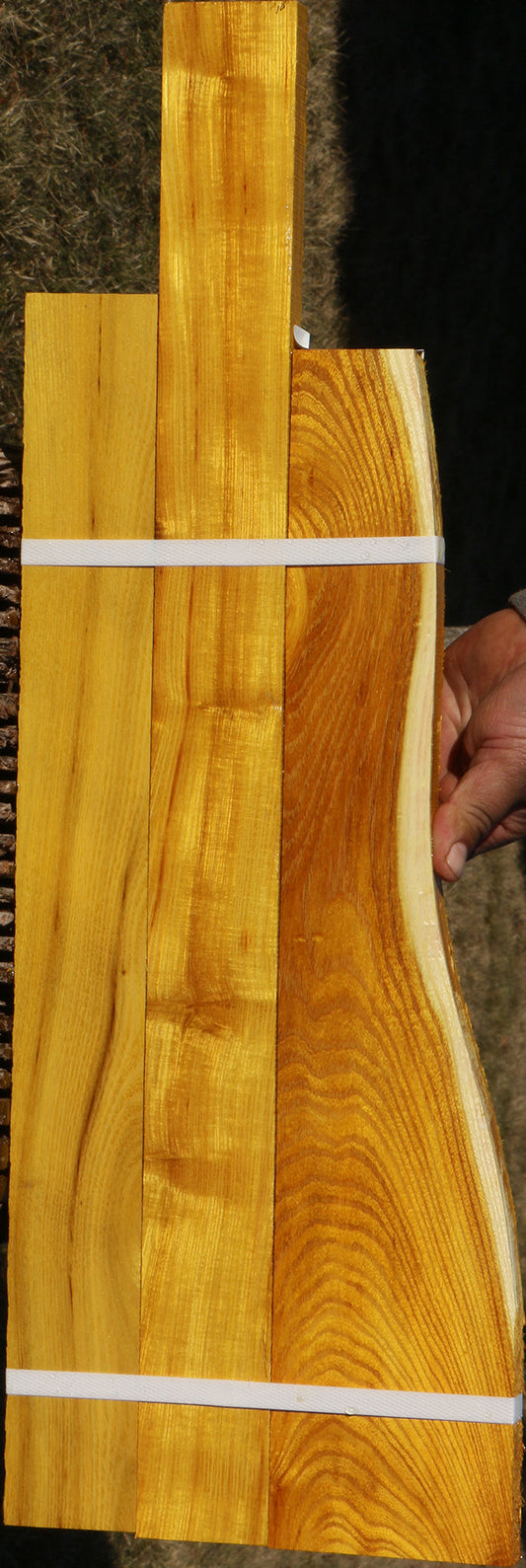 Osage Orange Lumber 3 Pack