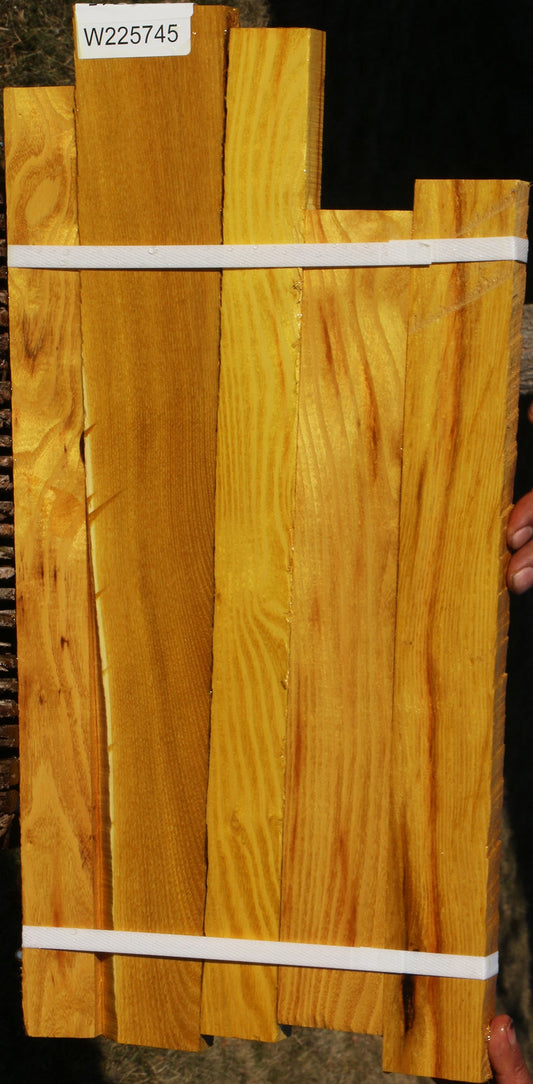 Osage Orange Lumber 5 Pack