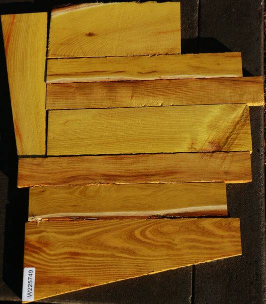 Osage Orange Lumber Bargain Box