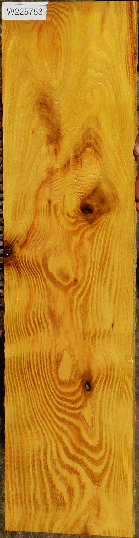 Osage Orange Lumber