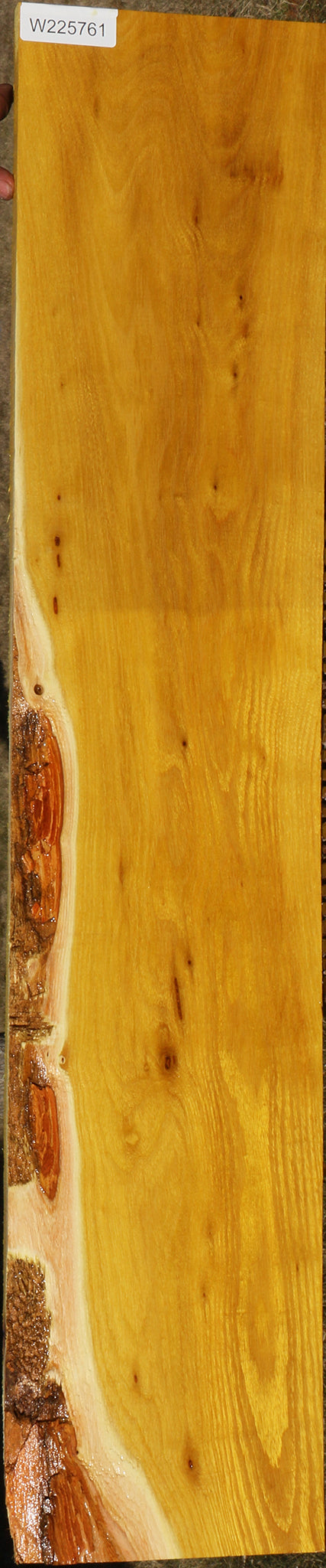 Osage Orange Lumber