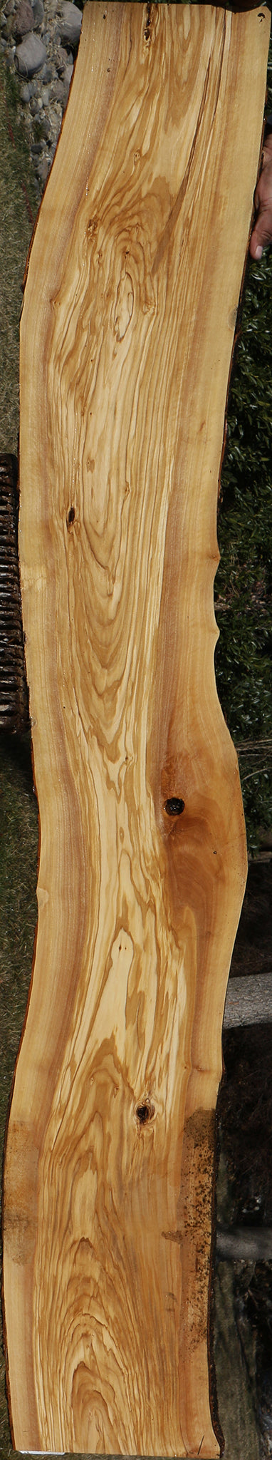 Figured Italian Olive Live Edge Lumber