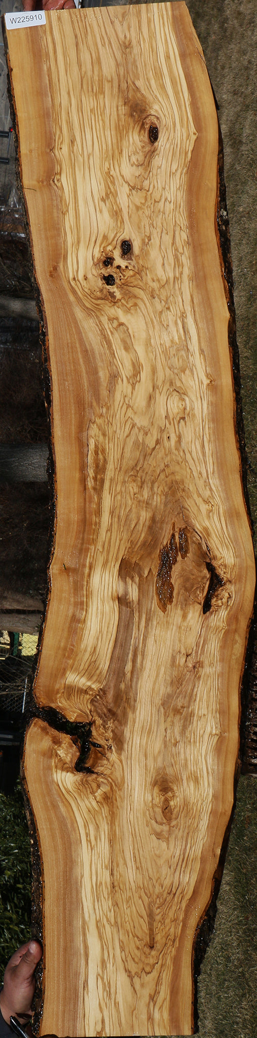 Extra Fancy Italian Olive Live Edge Lumber