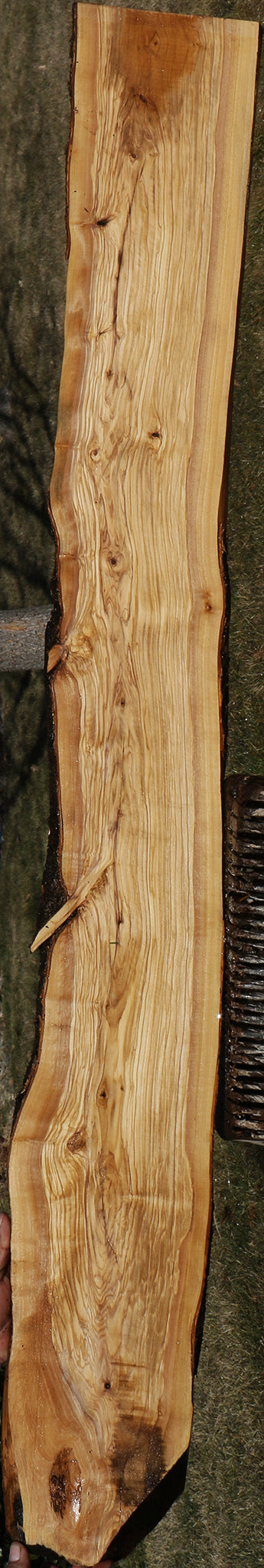 Figured Italian Olive Live Edge Lumber