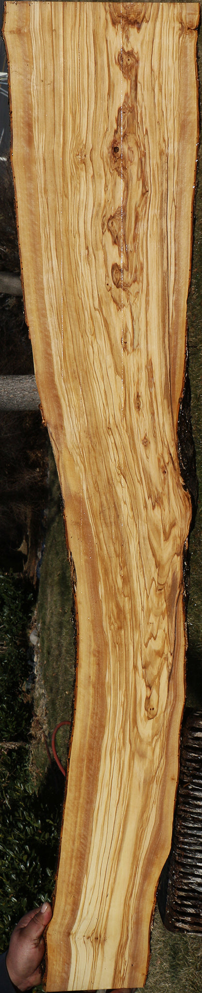 Figured Italian Olive Live Edge Lumber