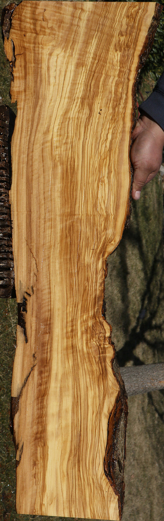 Extra Fancy Italian Olive Live Edge Lumber