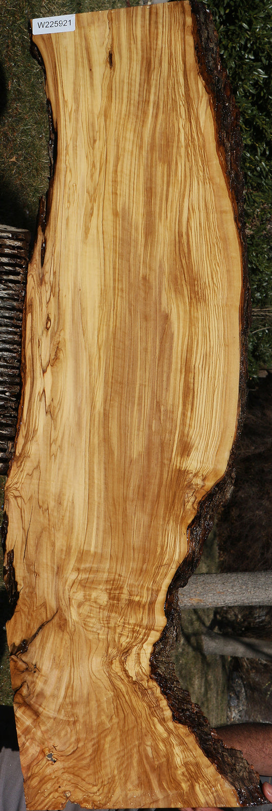Extra Fancy Italian Olive Live Edge Lumber