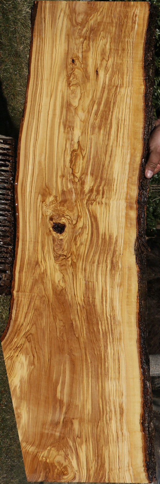 Extra Fancy Italian Olive Live Edge Lumber