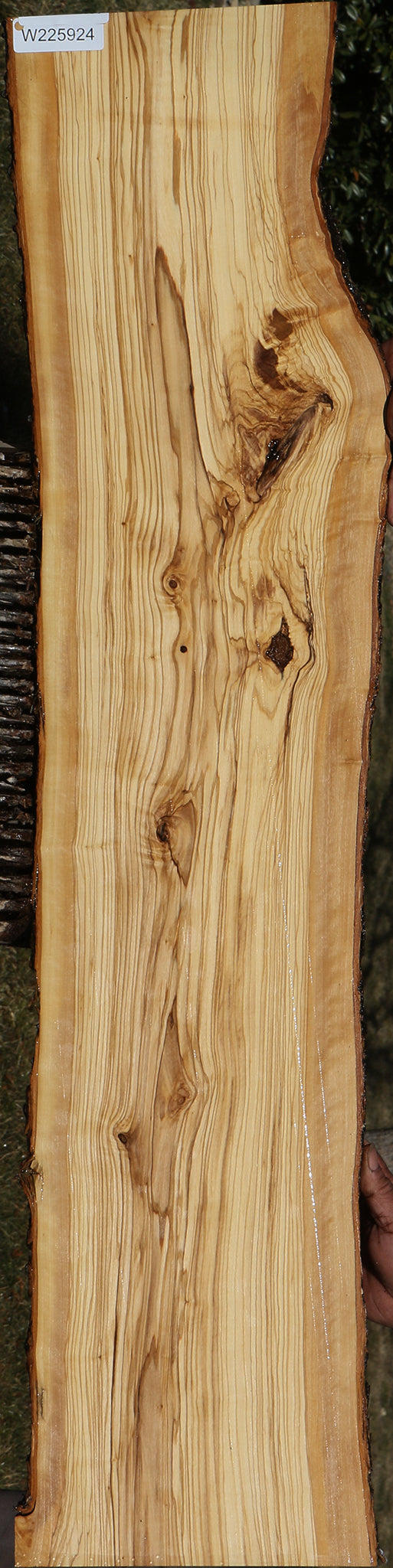 Figured Italian Olive Live Edge Lumber
