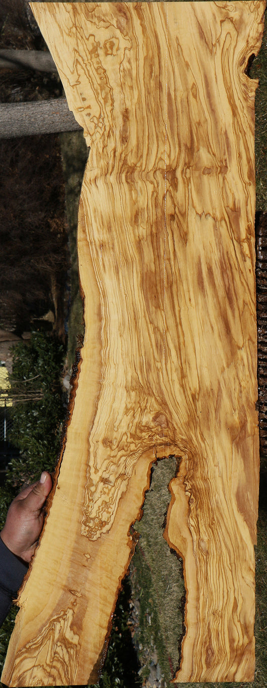 Extra Fancy Italian Olive Live Edge Lumber