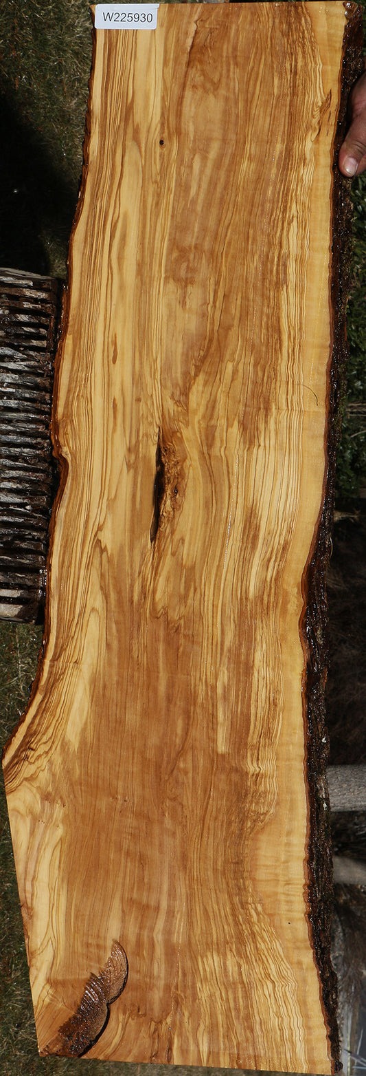 Figured Italian Olive Live Edge Lumber