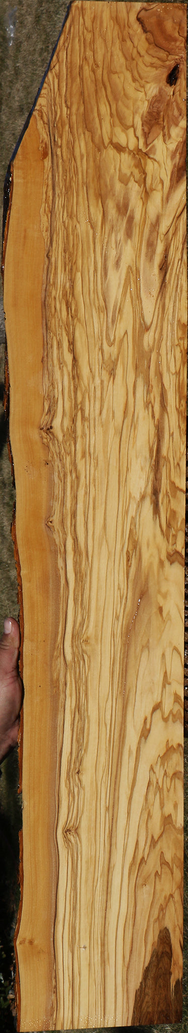 Italian Olive Lumber