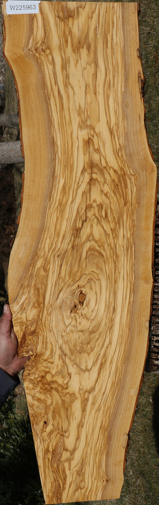 Extra Fancy Italian Olive Live Edge Lumber