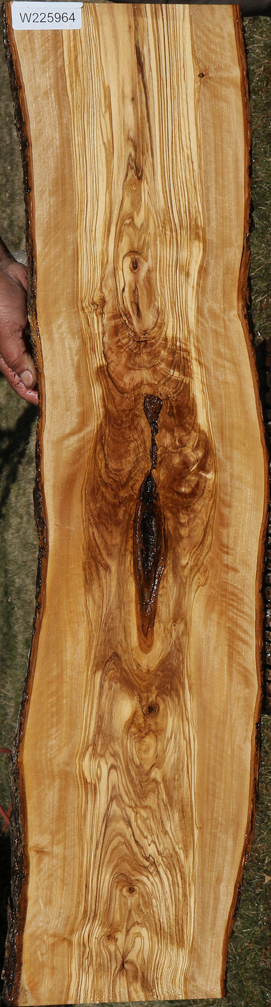 Extra Fancy Italian Olive Live Edge Lumber