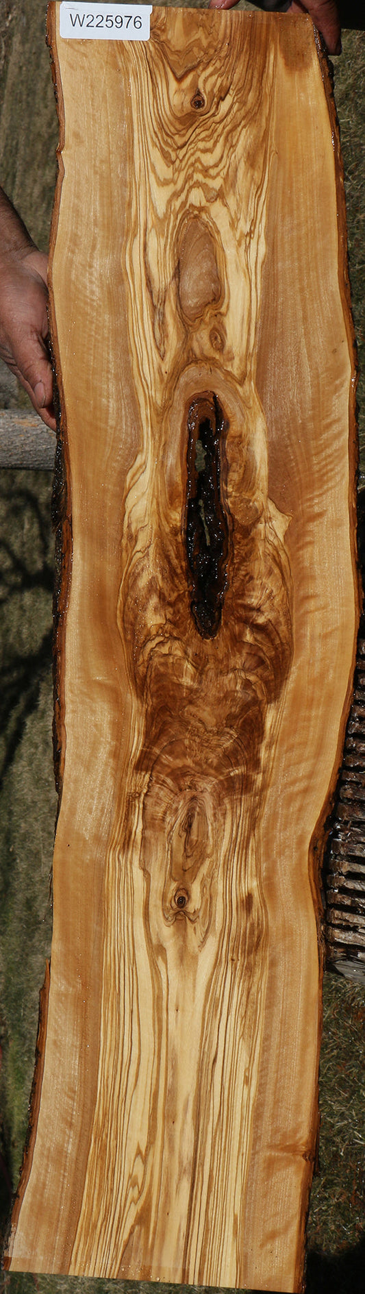 Extra Fancy Italian Olive Live Edge Lumber