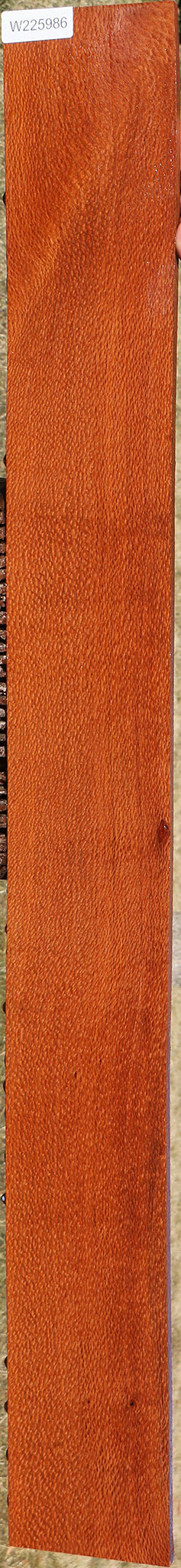 Extra Fancy Leopardwood Lumber