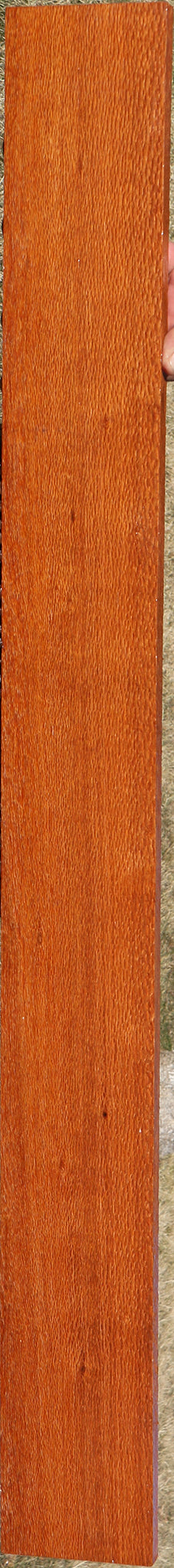 Leopardwood Lumber