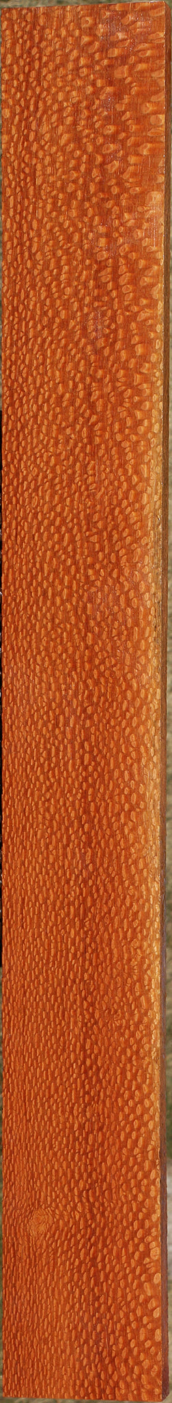 Extra Fancy Leopardwood Lumber
