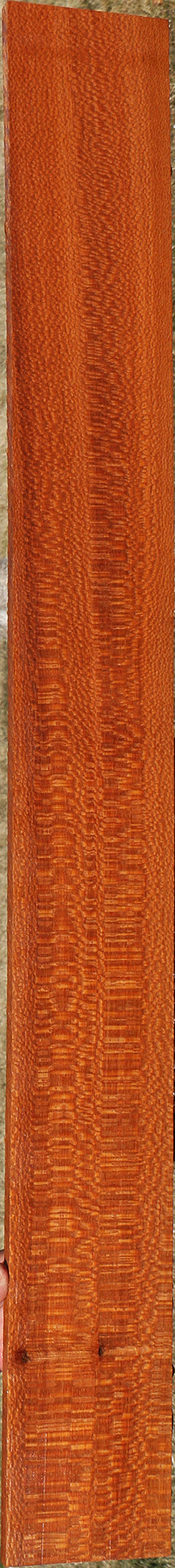 Extra Fancy Leopardwood Lumber