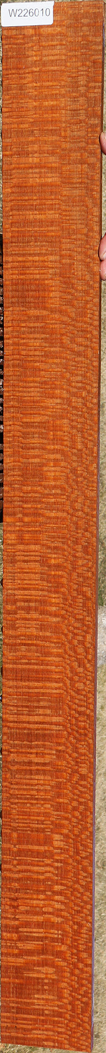 Extra Fancy Leopardwood Lumber