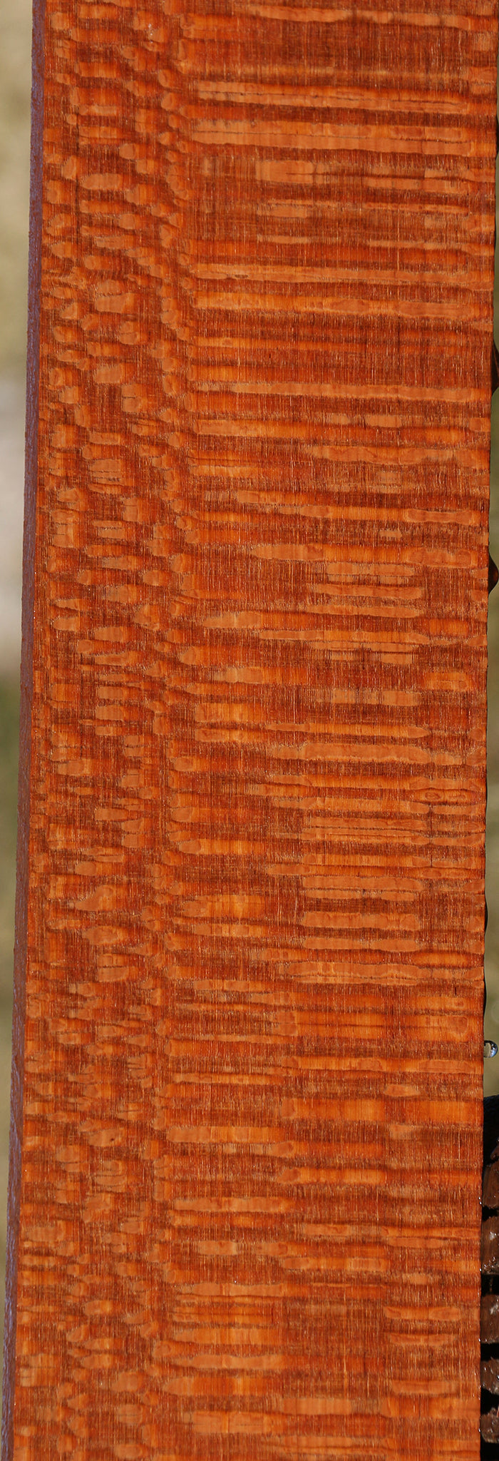 Extra Fancy Leopardwood Lumber