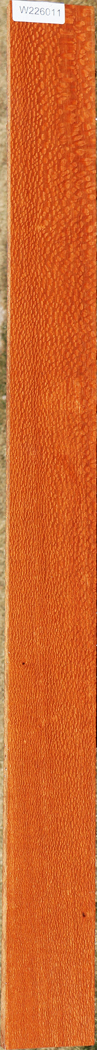 Figured Leopardwood Lumber