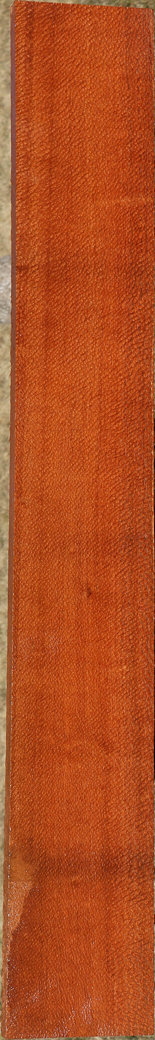 Extra Fancy Leopardwood Lumber