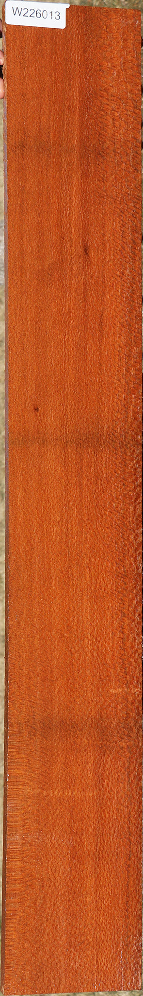 Extra Fancy Leopardwood Lumber