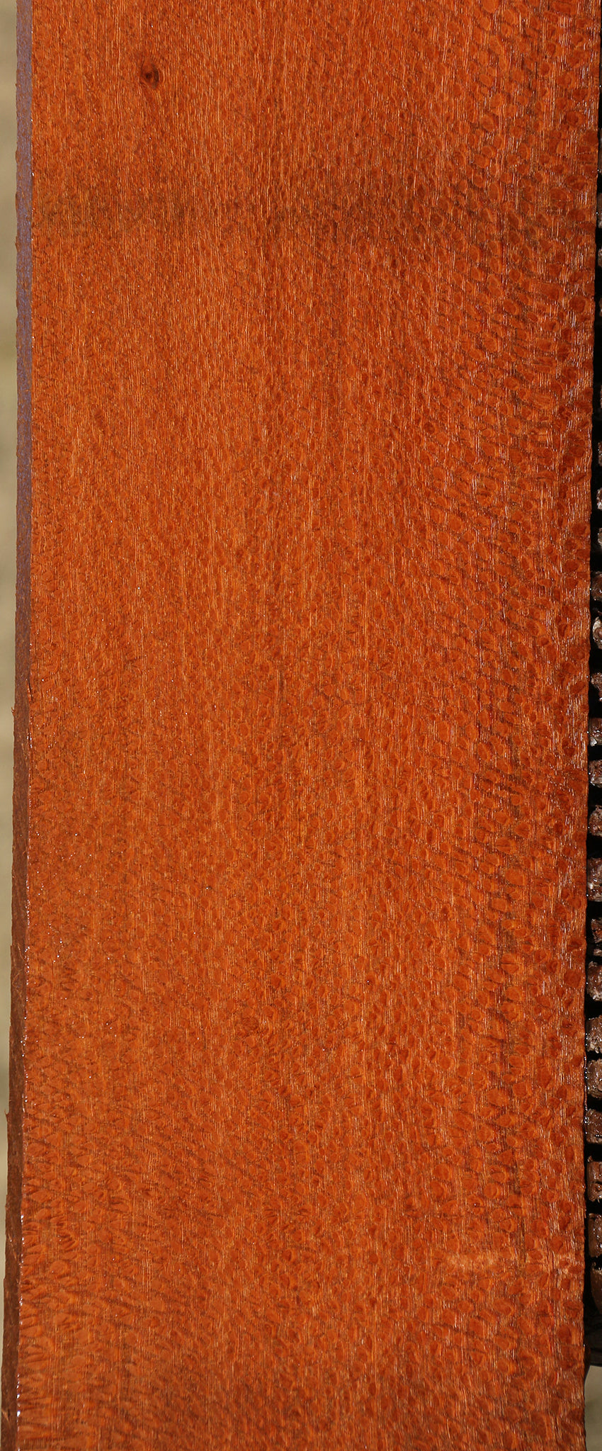 Extra Fancy Leopardwood Lumber