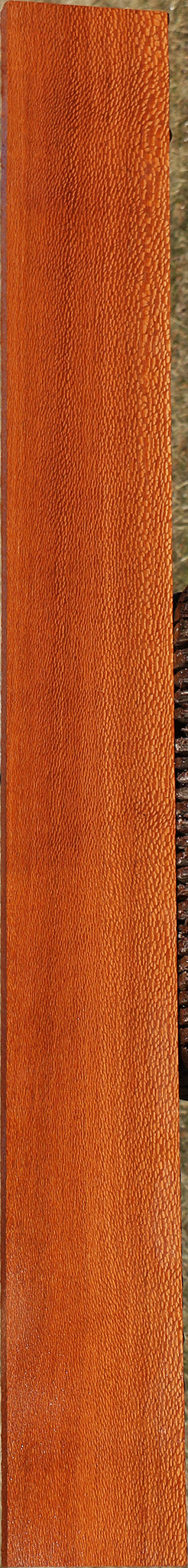 Figured Leopardwood Lumber