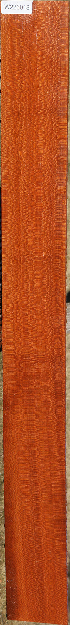 Extra Fancy Leopardwood Lumber