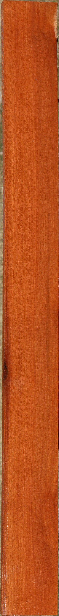 Leopardwood Lumber