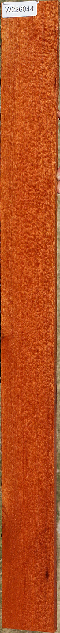 Leopardwood Lumber