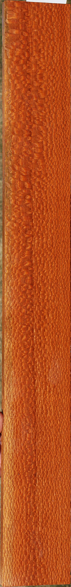 Extra Fancy Leopardwood Lumber