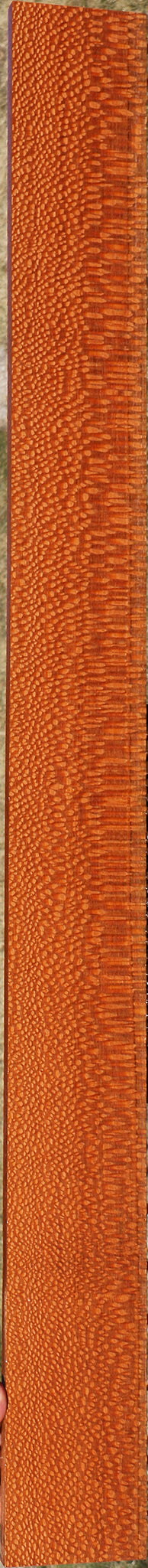 Extra Fancy Leopardwood Lumber