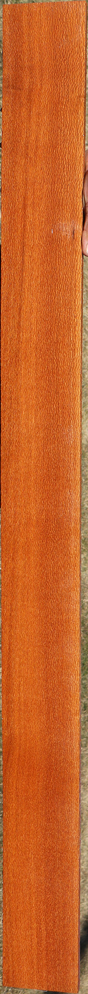 Figured Leopardwood Lumber