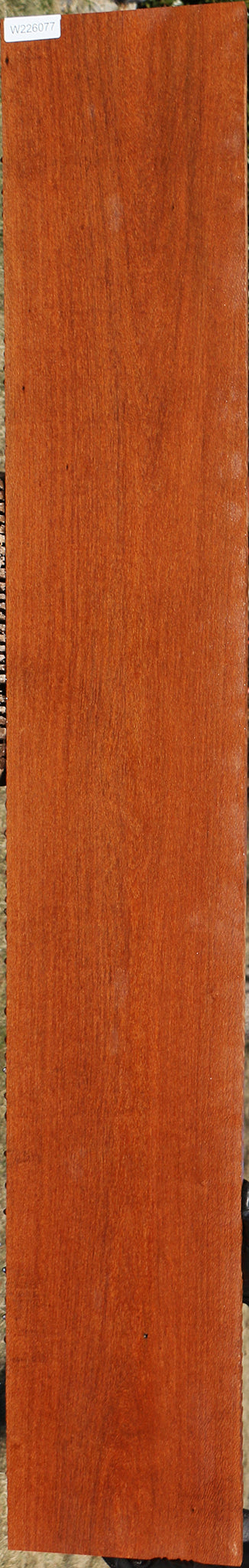 Leopardwood Lumber