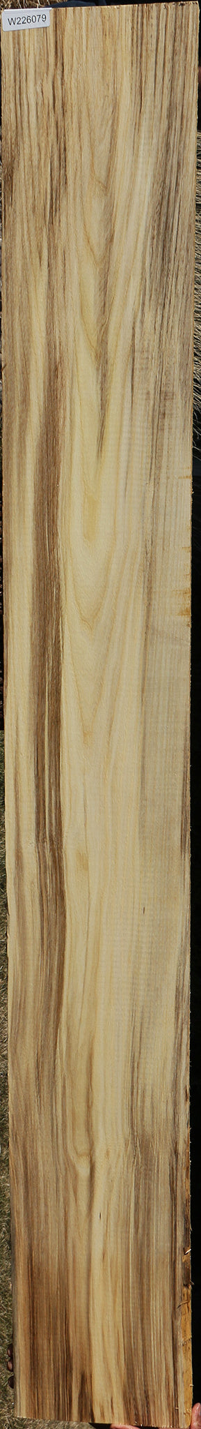 Spalted Hackberry Lumber