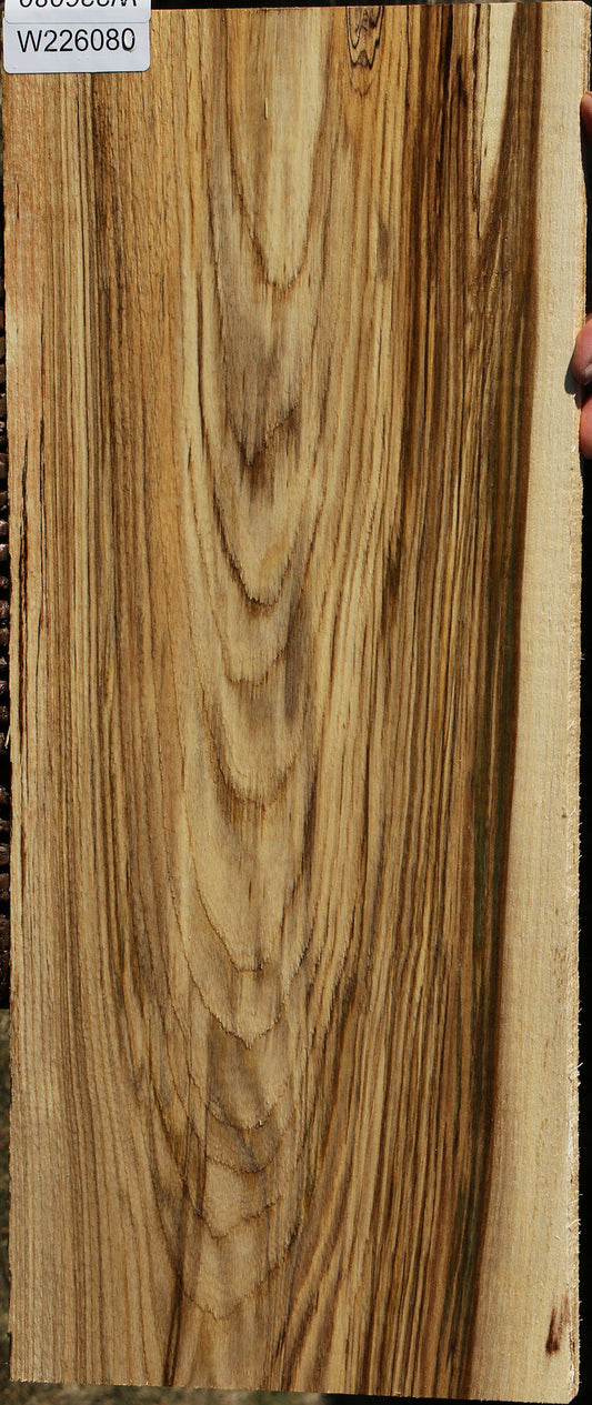 Figured Spalted Hackberry Lumber