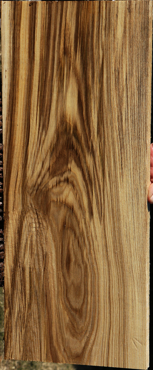 Extra Fancy Spalted Hackberry Lumber