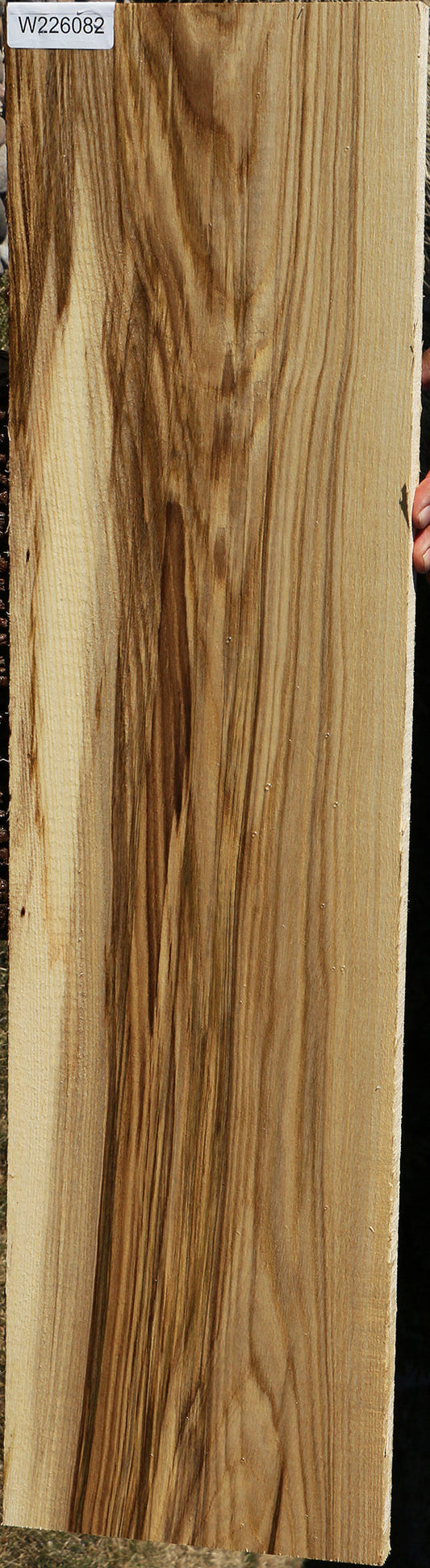 Figured Spalted Hackberry Lumber