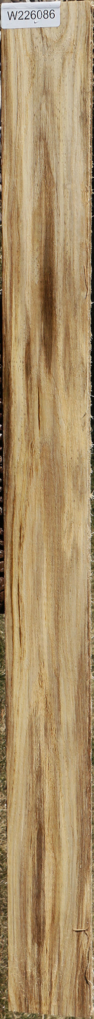 Figured Spalted Hackberry Lumber