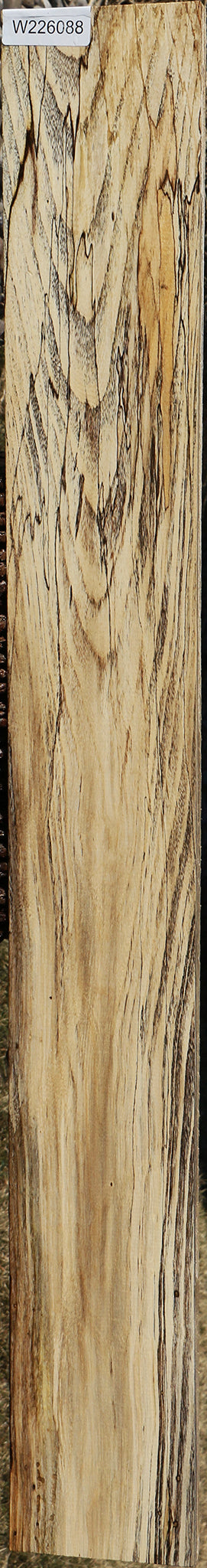 Extra Fancy Spalted Hackberry Lumber